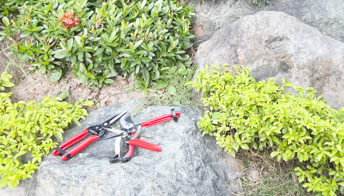 What Are The Uses Of Mini And Small Hand Saws In US