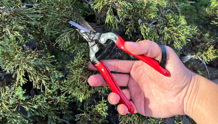 What Do You Know About Different Kinds Of Garden Hand Saw?
