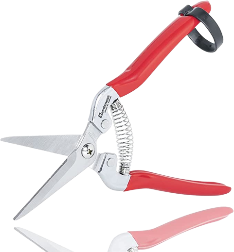 Pruning Snip
